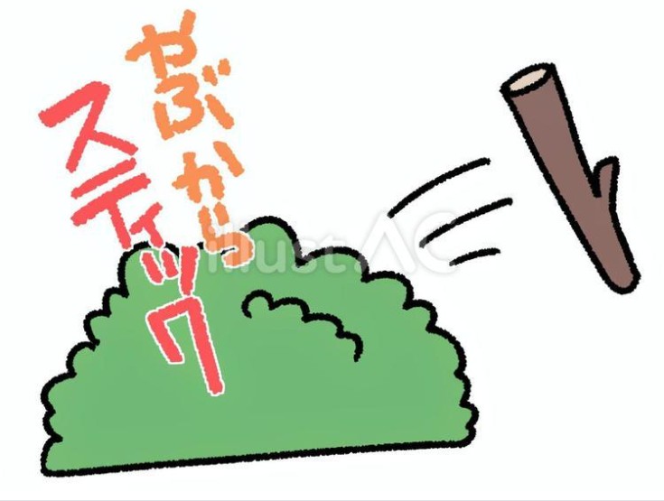 �u2-6�v���u2��6�v�ł͂Ȃ��������B�摜