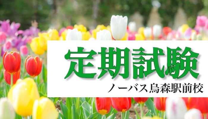 2025Nxw1weXgDыyѓ_UP!!摜